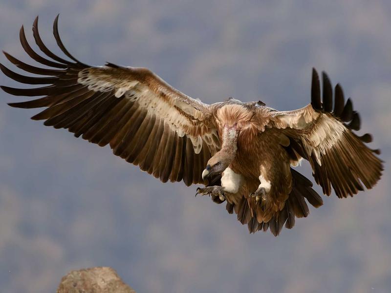 福建土楼<br>yxepqio.cn 客家防御民居
